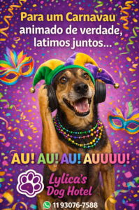 Hotelzinho Pet no Carnaval: onde deixar seu cachorro com segurança na Mooca 1 hospedagem e hotelzinho creche para PET Lylicas Dog Hotel carnaval hotelpet 2026 01 11
