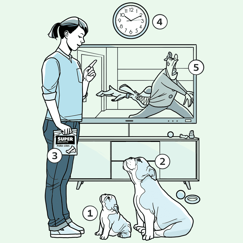hospedagem e hotelzinho creche para PET Lylicas Dog Hotel como adestrar seu cachorro em casa