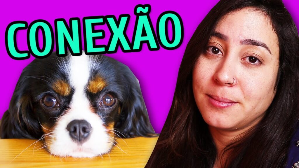 hospedagem e hotelzinho creche para PET Lylicas Dog Hotel criando uma conexao forte com seu cachorrinho durante a estadia