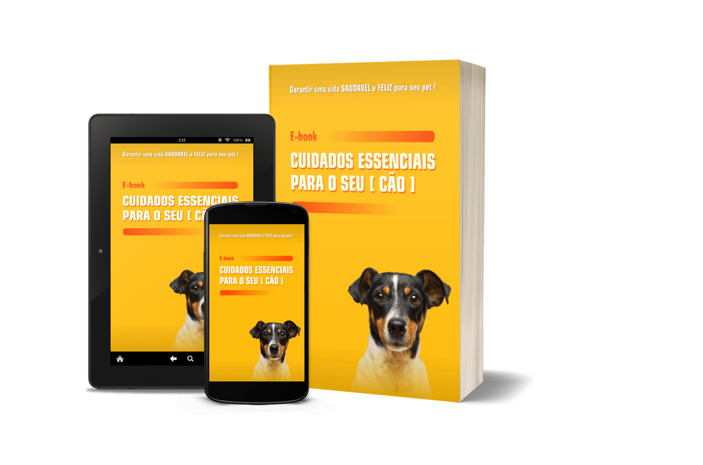 hospedagem e hotelzinho creche para PET Lylicas Dog Hotel cuidados essenciais para manter seu pet feliz e saudavel