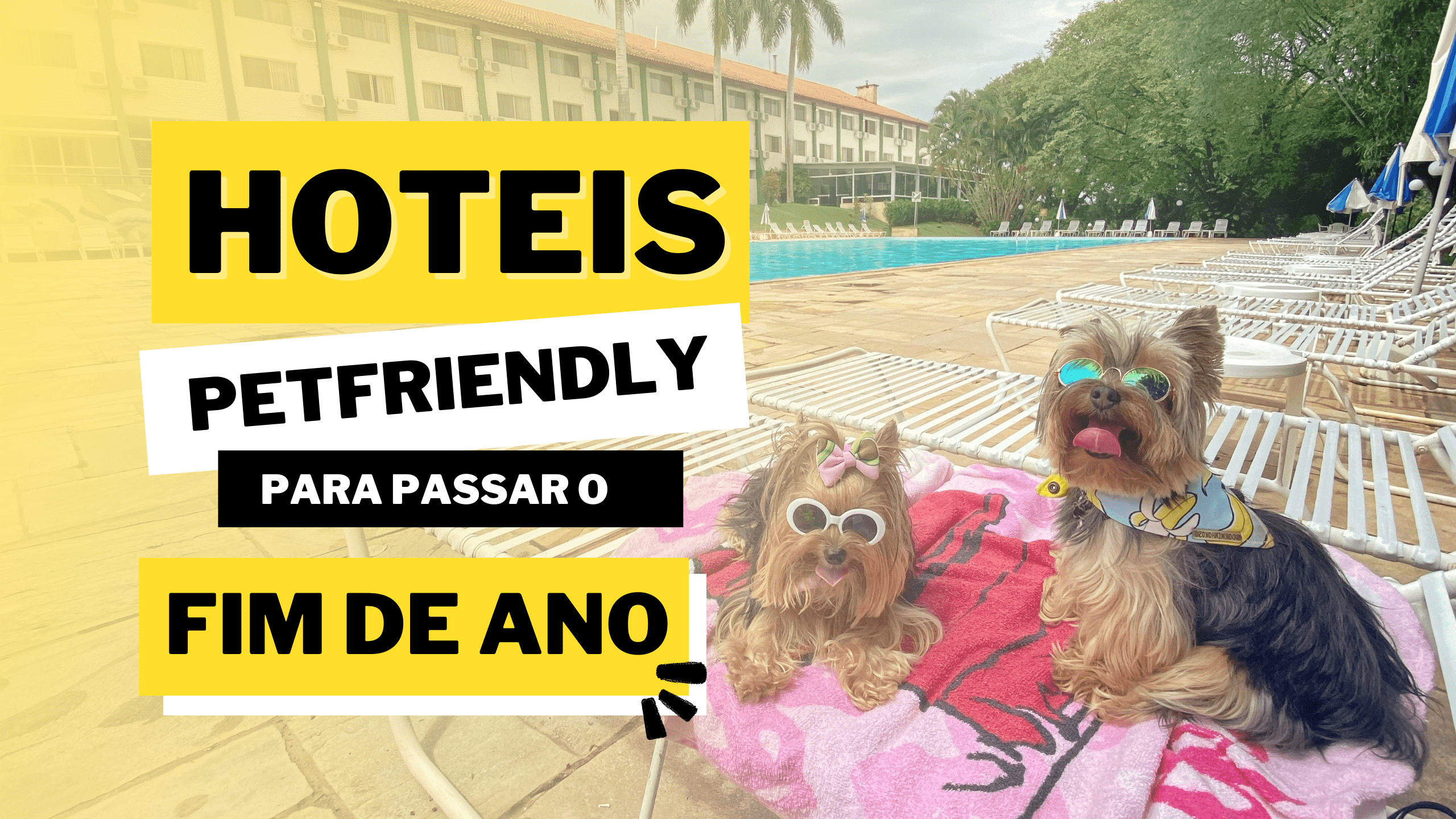 hospedagem e hotelzinho creche para PET Lylicas Dog Hotel destinos pet friendly onde levar seu amigo peludo nas ferias de fim de ano com o hotel para cachorro lylicas