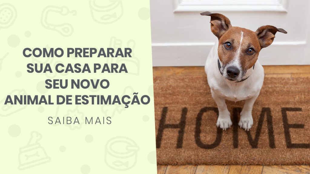 hospedagem e hotelzinho creche para PET Lylicas Dog Hotel do it yourself dicas lylicas pet para preparar sua casa para a ausencia temporaria do seu pet