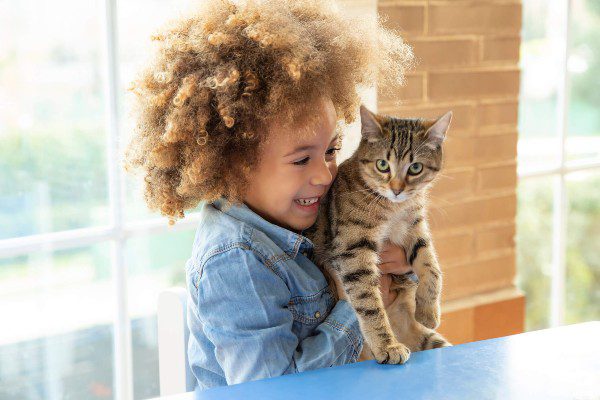 hospedagem e hotelzinho creche para PET Lylicas Dog Hotel ensinando etica e empatia as criancas atraves da convivencia com pets
