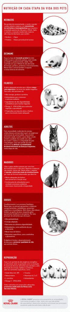 hospedagem e hotelzinho creche para PET Lylicas Dog Hotel entenda as necessidades nutricionais especificas do seu pet