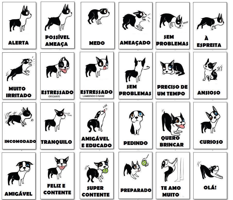 hospedagem e hotelzinho creche para PET Lylicas Dog Hotel entendendo a linguagem corporal do seu pet o que os sinais dizem