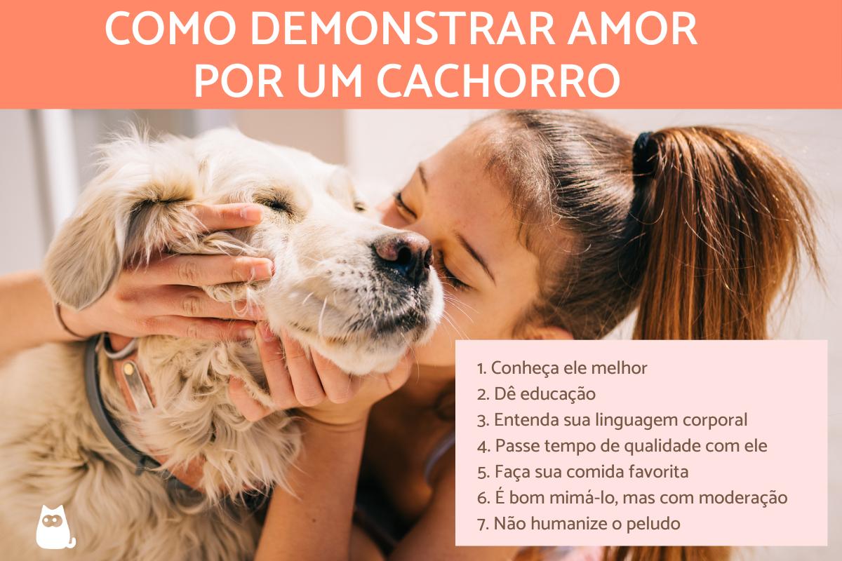hospedagem e hotelzinho creche para PET Lylicas Dog Hotel o poder do afeto como o carinho influencia o comportamento do seu cachorrinho