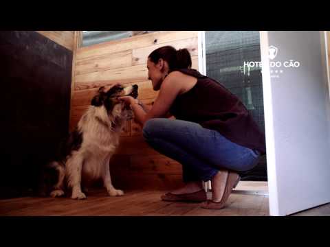 hospedagem e hotelzinho creche para PET Lylicas Dog Hotel o seu melhor amigo merece o melhor cuidado venha conhecer lylicas dog hotel a escolha perfeita para o seu caozinho