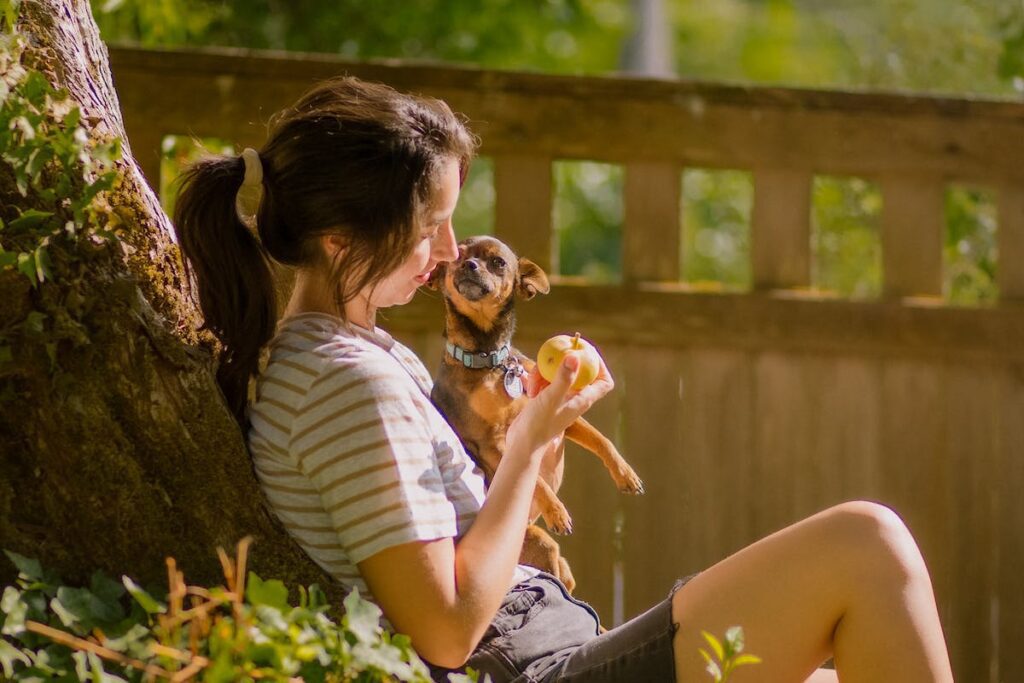 hospedagem e hotelzinho creche para PET Lylicas Dog Hotel onde deixar seu cachorro com seguranca e economia e no lylicas dog hotel