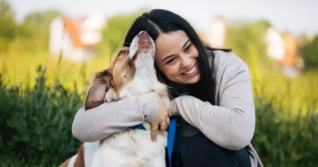 hospedagem e hotelzinho creche para PET Lylicas Dog Hotel os misterios da comunicacao entre humanos e pets desvendados