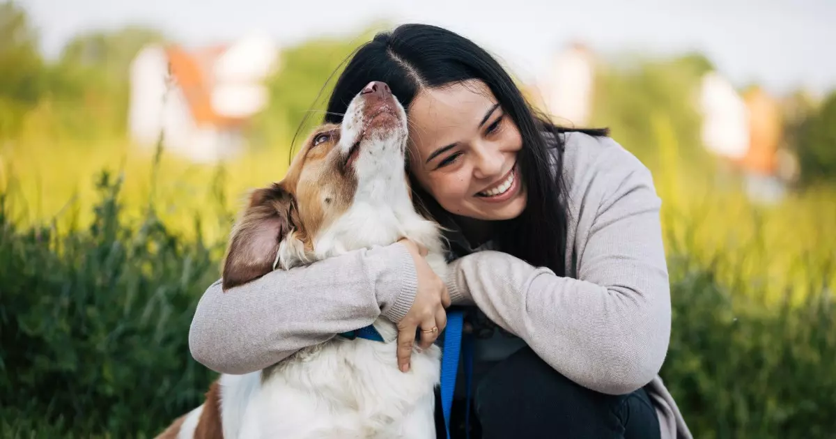 hospedagem e hotelzinho creche para PET Lylicas Dog Hotel os misterios da comunicacao entre humanos e pets desvendados