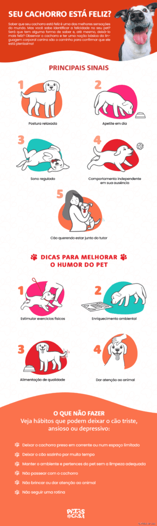hospedagem e hotelzinho creche para PET Lylicas Dog Hotel os sinais de que seu cachorrinho esta confortavel e feliz em nosso hotel residencial
