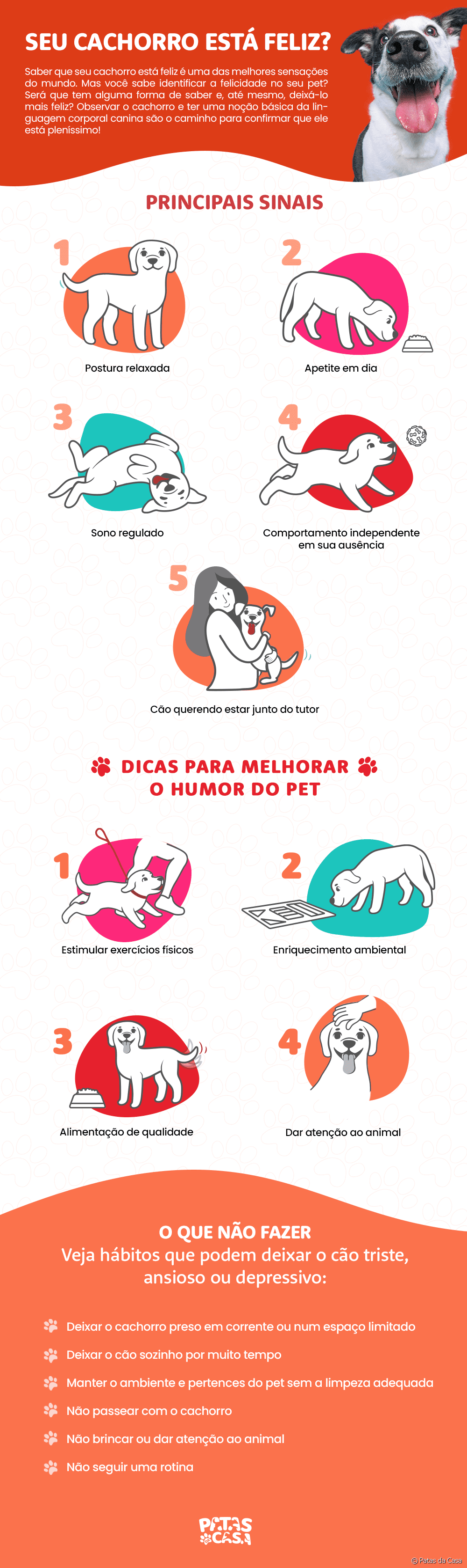 hospedagem e hotelzinho creche para PET Lylicas Dog Hotel os sinais de que seu cachorrinho esta confortavel e feliz em nosso hotel residencial