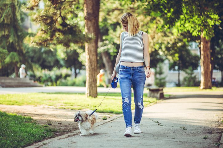 hospedagem e hotelzinho creche para PET Lylicas Dog Hotel passear com seu caozinho dicas alegres para uma caminhada segura