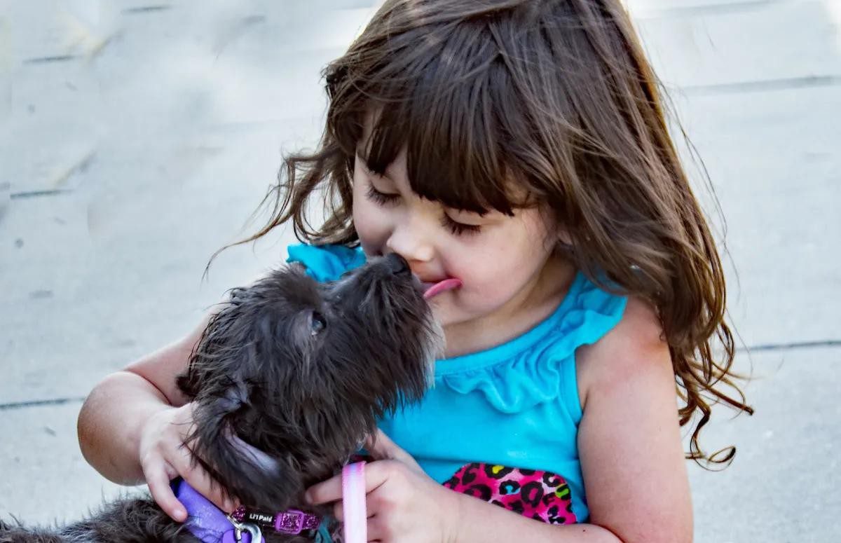 hospedagem e hotelzinho creche para PET Lylicas Dog Hotel pet e saude os beneficios comprovados da interacao animal humano