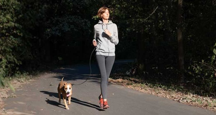 hospedagem e hotelzinho creche para PET Lylicas Dog Hotel por que o exercicio e fundamental para o equilibrio fisico e mental do seu cachorrinho