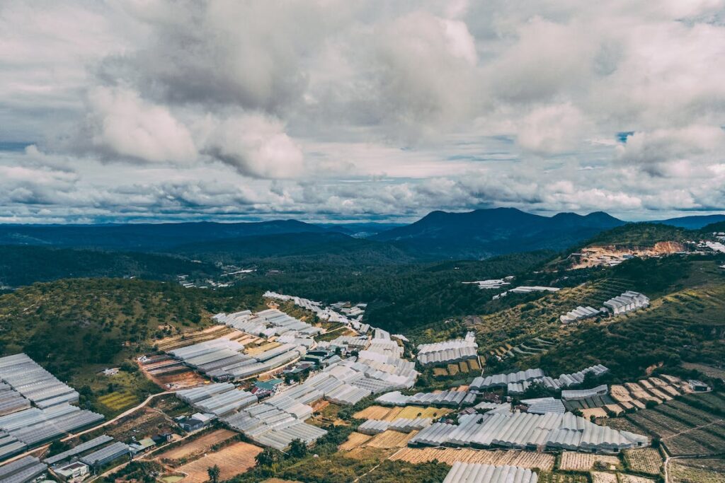 hospedagem e hotelzinho creche para PET Lylicas Dog Hotel raca de cachorro estrela da montanha dos pireneus 4