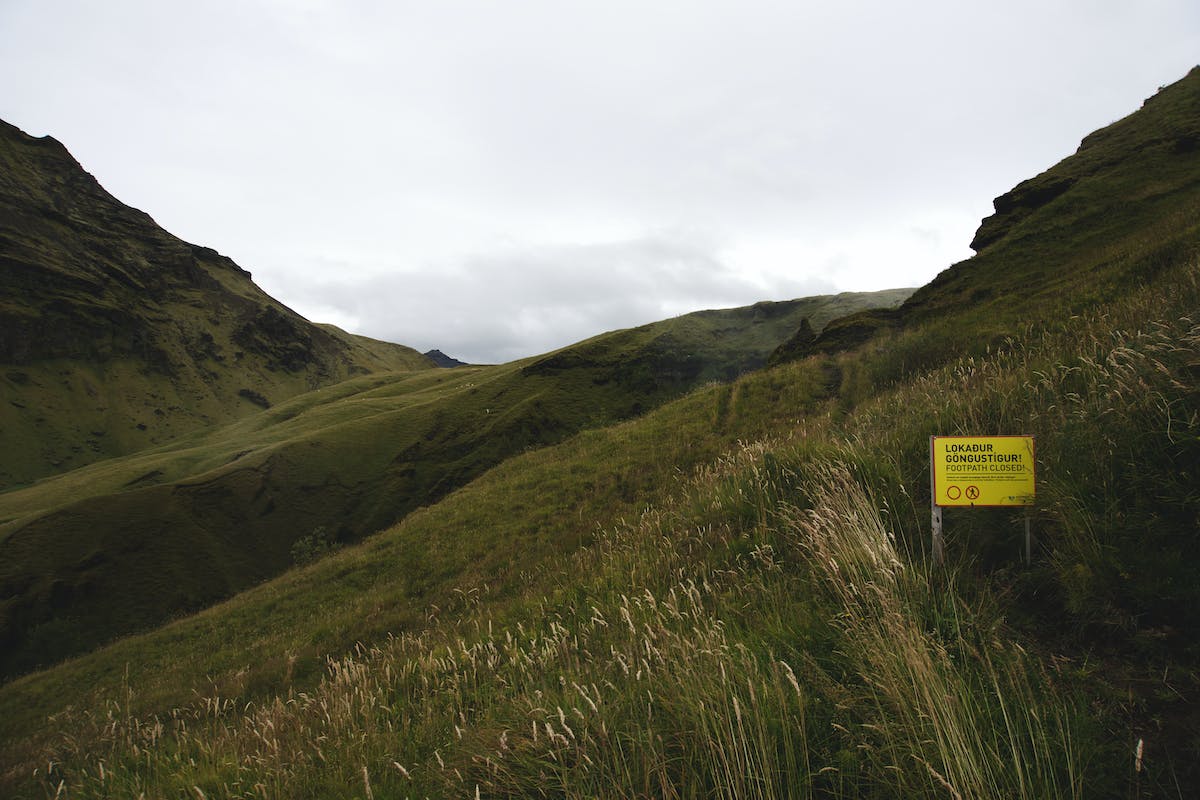 hospedagem e hotelzinho creche para PET Lylicas Dog Hotel raca de cachorro icelandic sheepdog