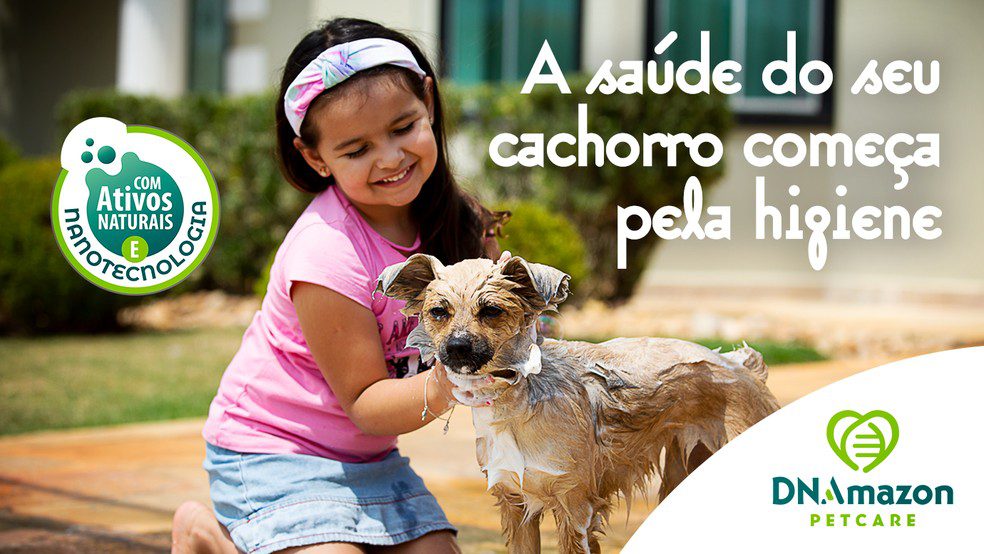 hospedagem e hotelzinho creche para PET Lylicas Dog Hotel tranquilidade na hora do banho como fazer da higiene uma experiencia positiva para seu pet